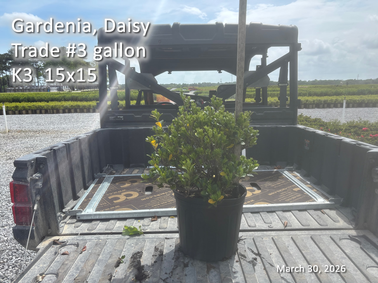 gallery/gdai3t k3 mar30.jpg